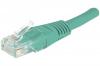 Cordon RJ45 CAT 6 U/UTP vert - 0,3 m