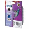 Epson T0801 noir 250 pages